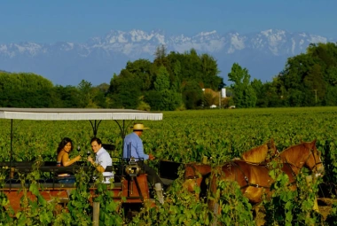 RUTA DEL VINO COLCHAGUA 2026 RUTA DEL VINO COLCHAGUA