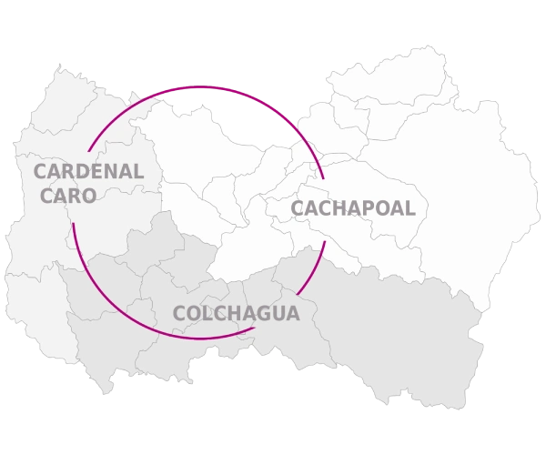 RUTA DEL VINO COLCHAGUA - RUTA DEL VINO CACHAPOAL RUTA DEL VINO COLCHAGUA