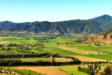 VALLE DE CACHAPOAL RUTA DEL VINO RUTA DEL VINO DEL VALLE DE CACHAPOAL